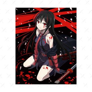 قاب MDF طرح Akame ga Kill