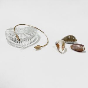 بنگل (النگو)