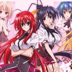 HS DxD
