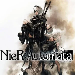 NIER