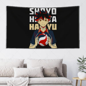 بکدراپ طرح انیمه !!Haikyu