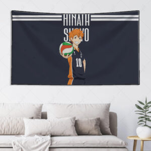 بکدراپ طرح انیمه !!Haikyu